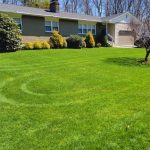 Expert Lawn Care MN Services for a Greener, Healthier Yard