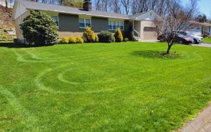 lawn care mn